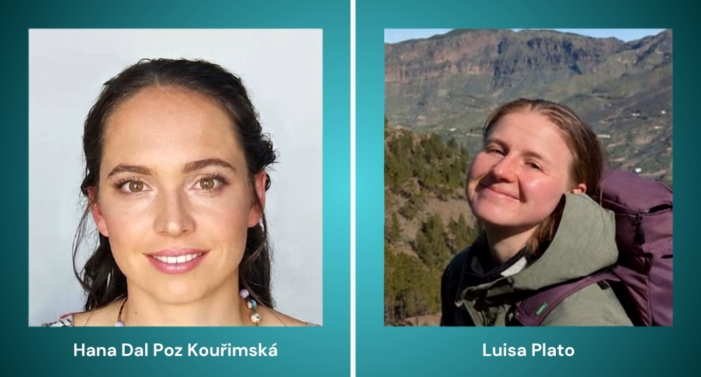 MATH+ Hanna Neumann Fellows 2026